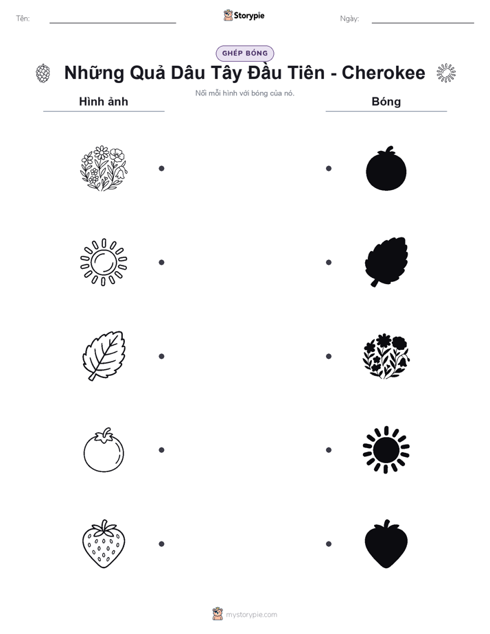 Ghép Hình Bóng