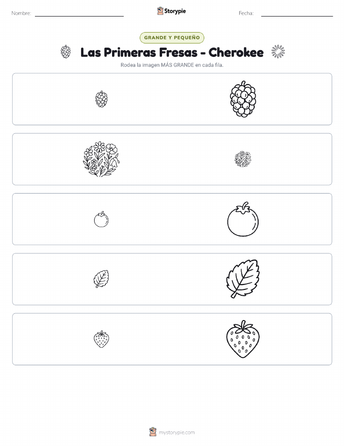 Clasificación