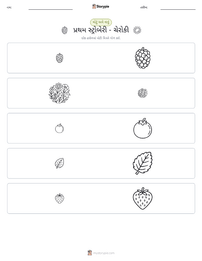 વર્ગીકરણ