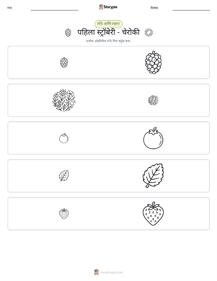 वर्गीकरण