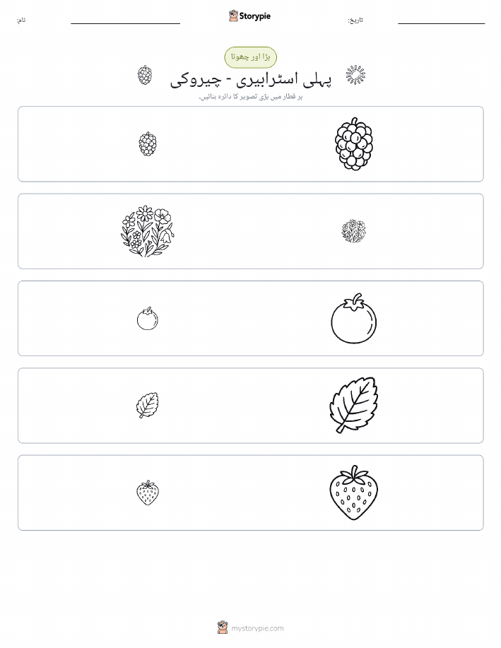 ترتیب دینا