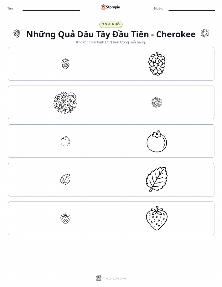 Phân Loại