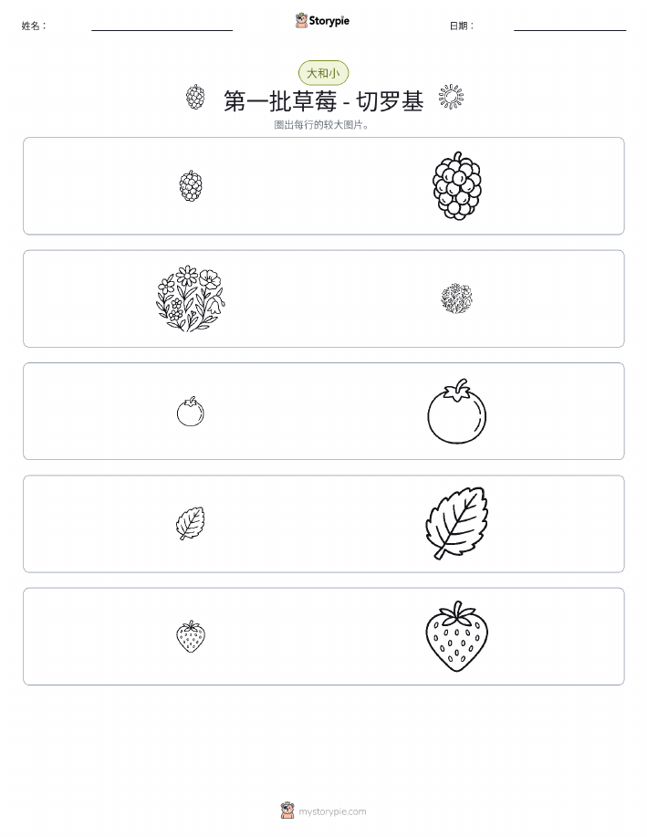 分类