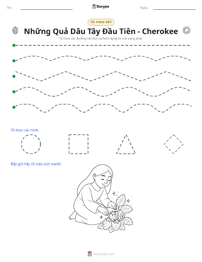 Vẽ Theo Đường