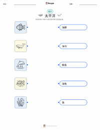 太平洋 可打印工作表，适合儿童