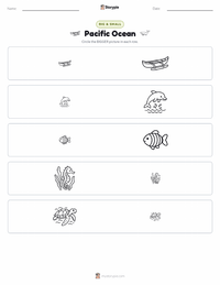 Pacific Ocean printable worksheet preview