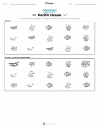 Pacific Ocean printable worksheet preview