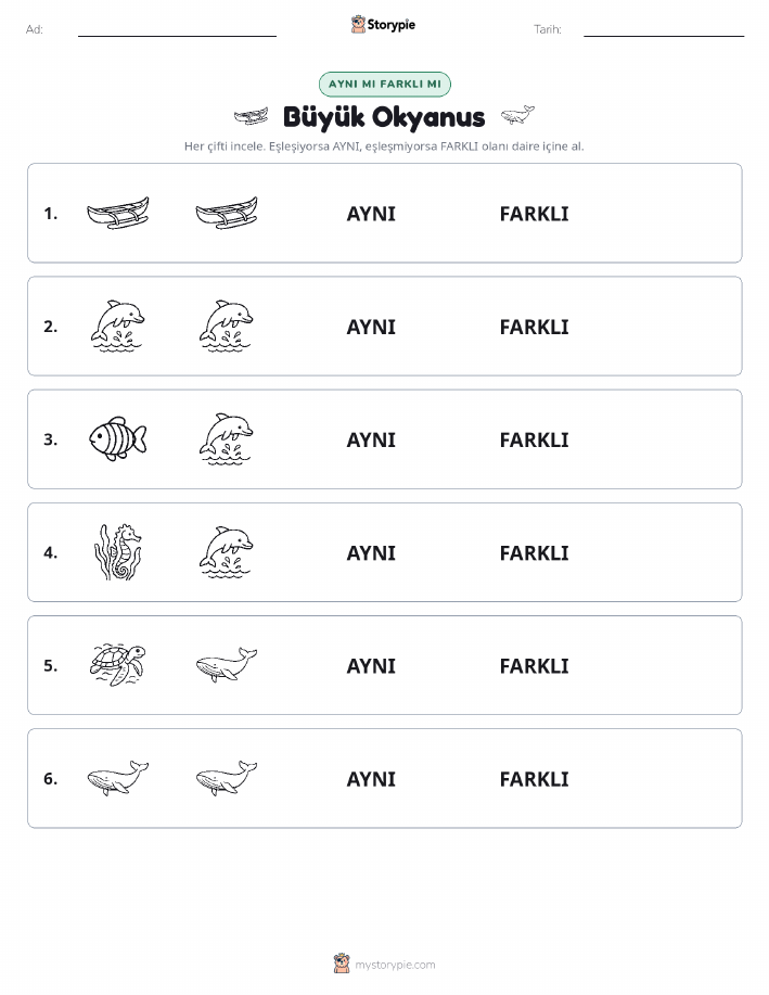 Aynı mı Farklı mı