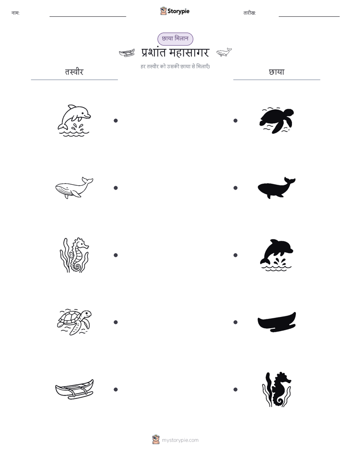 छाया मिलान