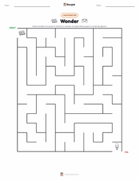Aperçu de la feuille de travail imprimable Wonder (roman)