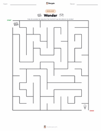Wonder (roman) afdrukbare werkblad voorbeeld
