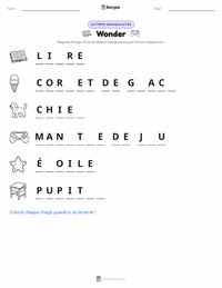Aperçu de la feuille de travail imprimable Wonder (roman)