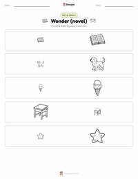 Wonder (novel) printable worksheet preview