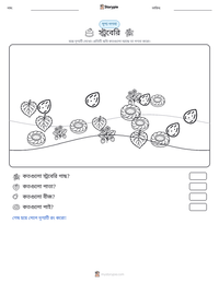স্ট্রবেরি মুদ্রণযোগ্য কাজের পৃষ্ঠার প্রিভিউ