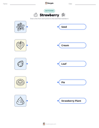 Strawberry printable worksheet preview