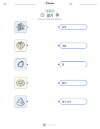 딸기 인쇄 가능한 워크시트 미리보기