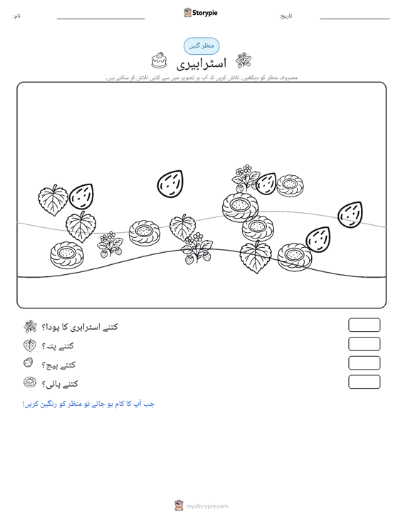 گنتی کا منظر