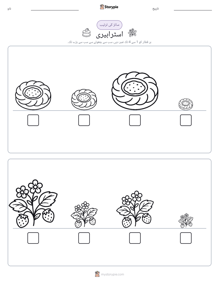 سائز کی ترتیب