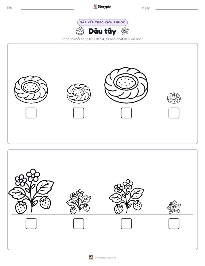 Thứ Tự Kích Thước