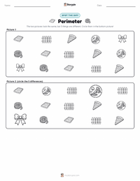 Perimeter printable worksheet preview