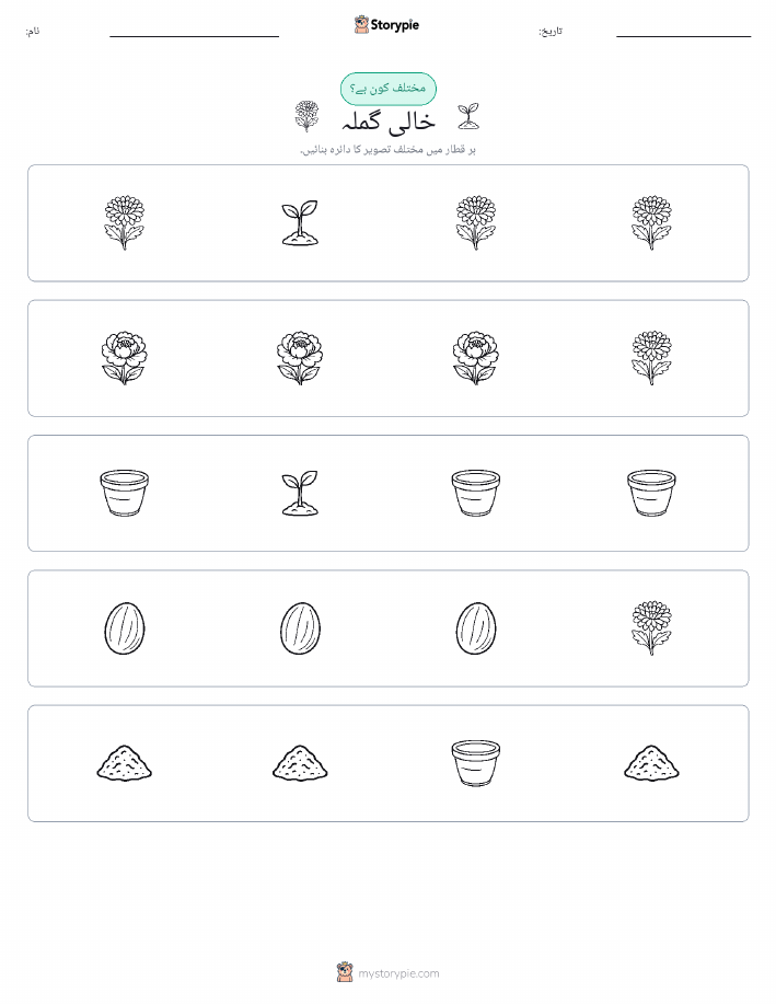 عجیب ایک
