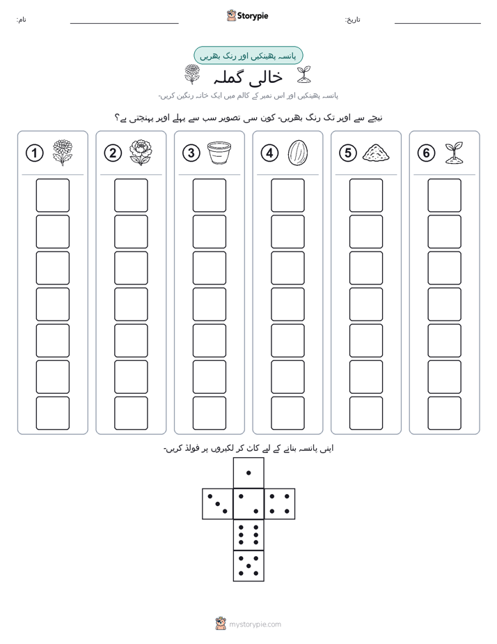 رول اور رنگ