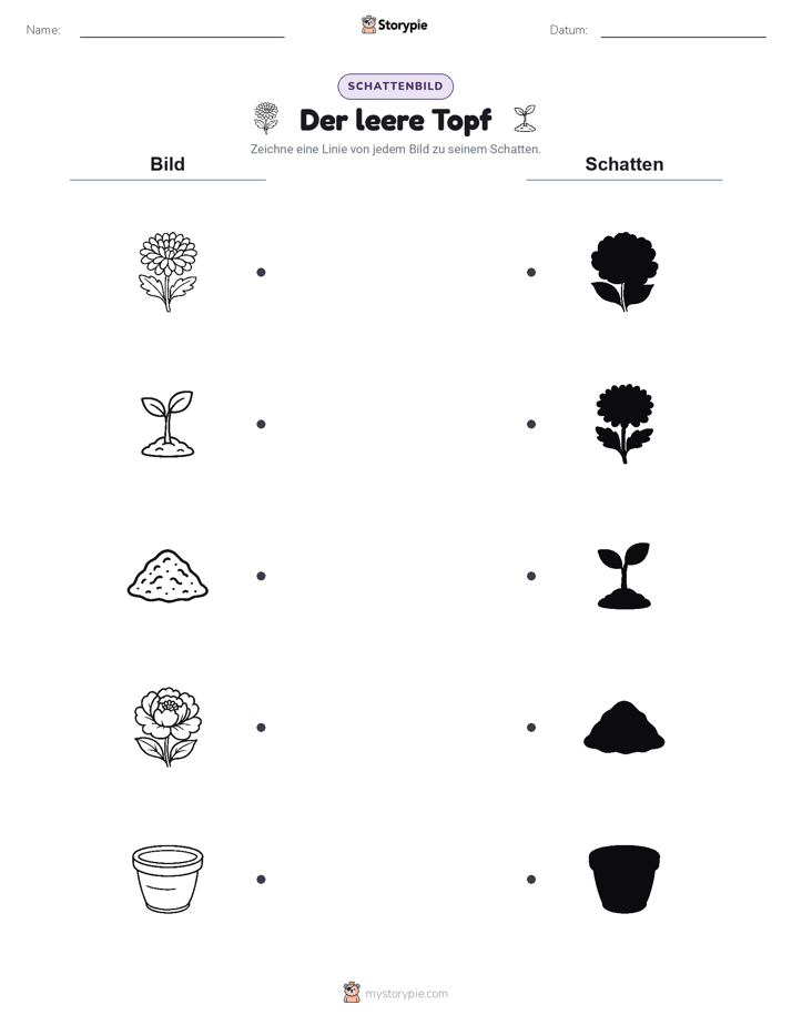 Schattenmatch
