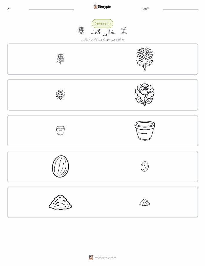 ترتیب دینا