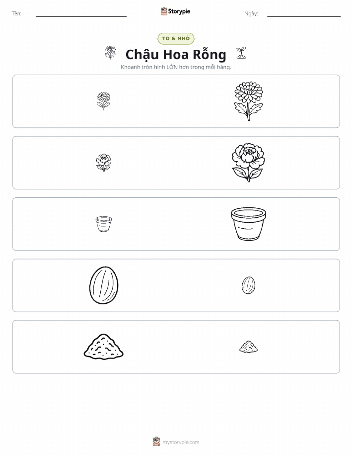Phân Loại