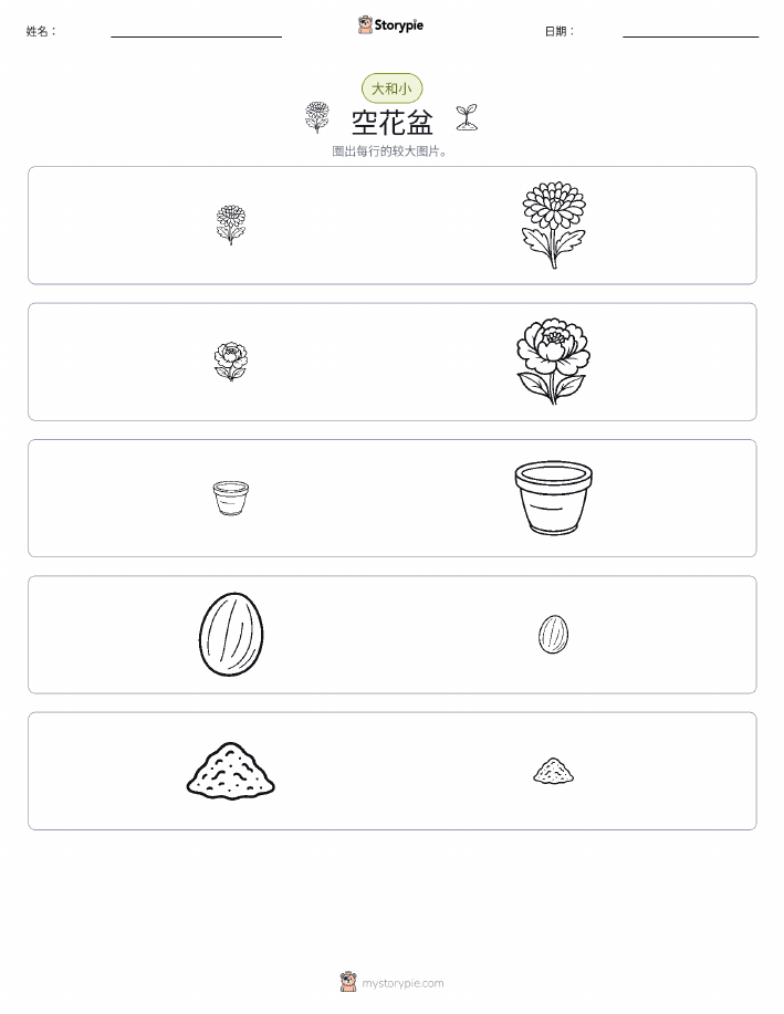 分类