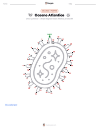Anteprima della scheda stampabile di Oceano Atlantico