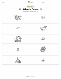 Atlantic Ocean printable worksheet preview