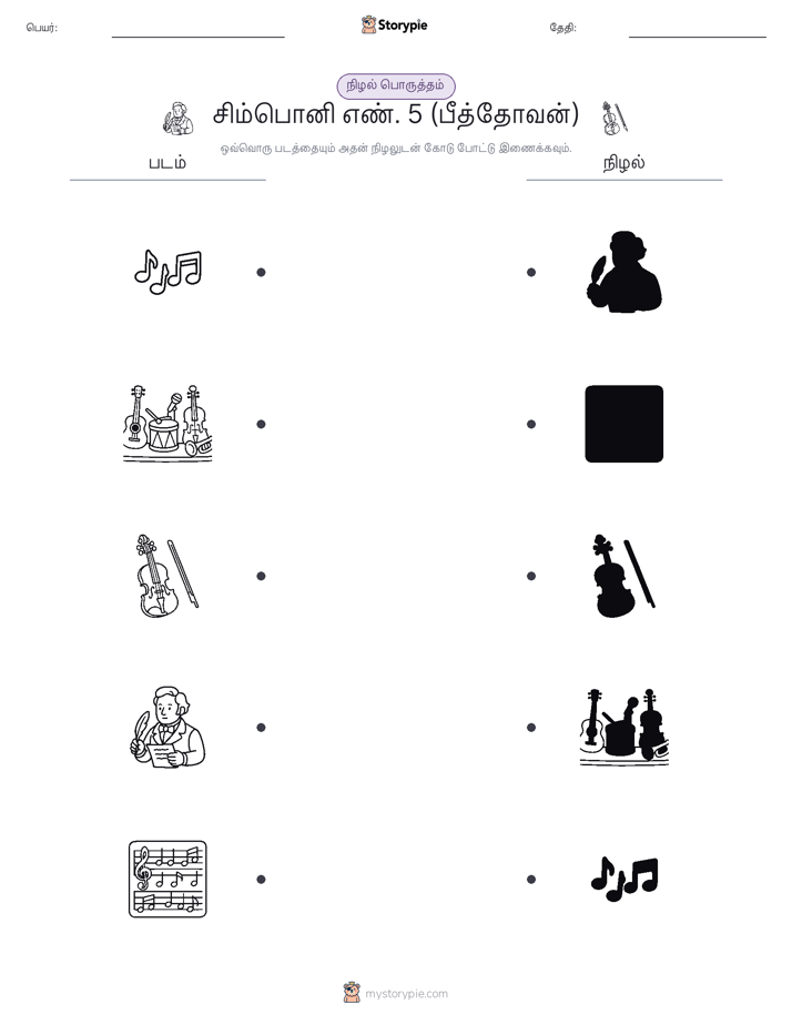 நிழல் பொருத்தம்