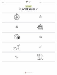 Arctic Ocean printable worksheet preview