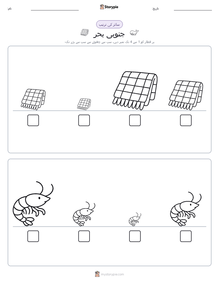 سائز کی ترتیب