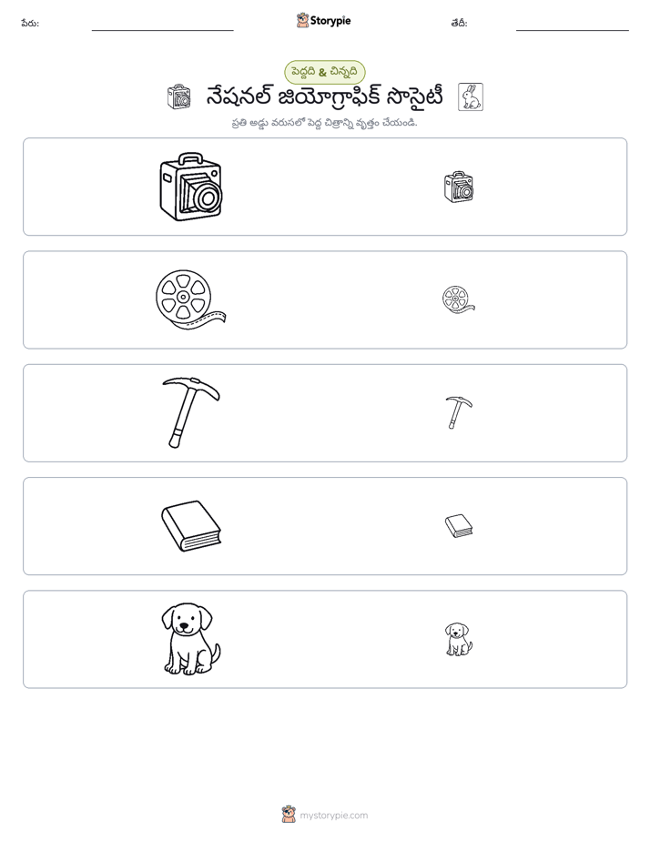వర్గీకరణ