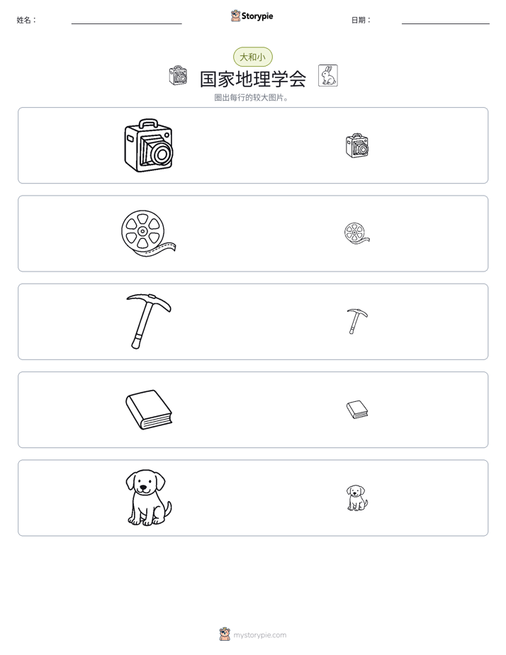 分类
