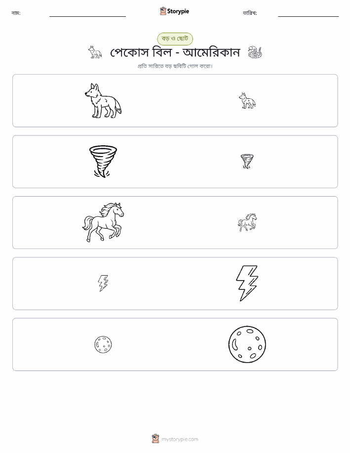 সাজানো