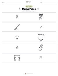 Marius Petipa printable worksheet preview