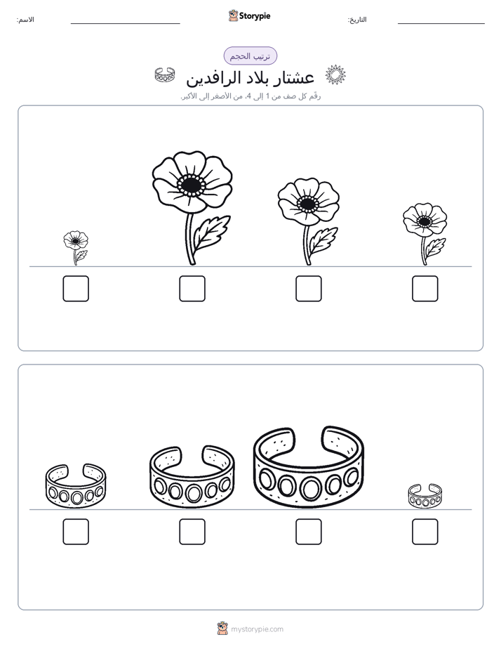 ترتيب الحجم