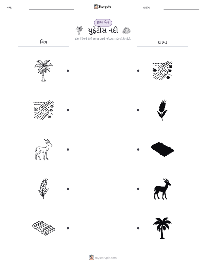 શેડો મેચ