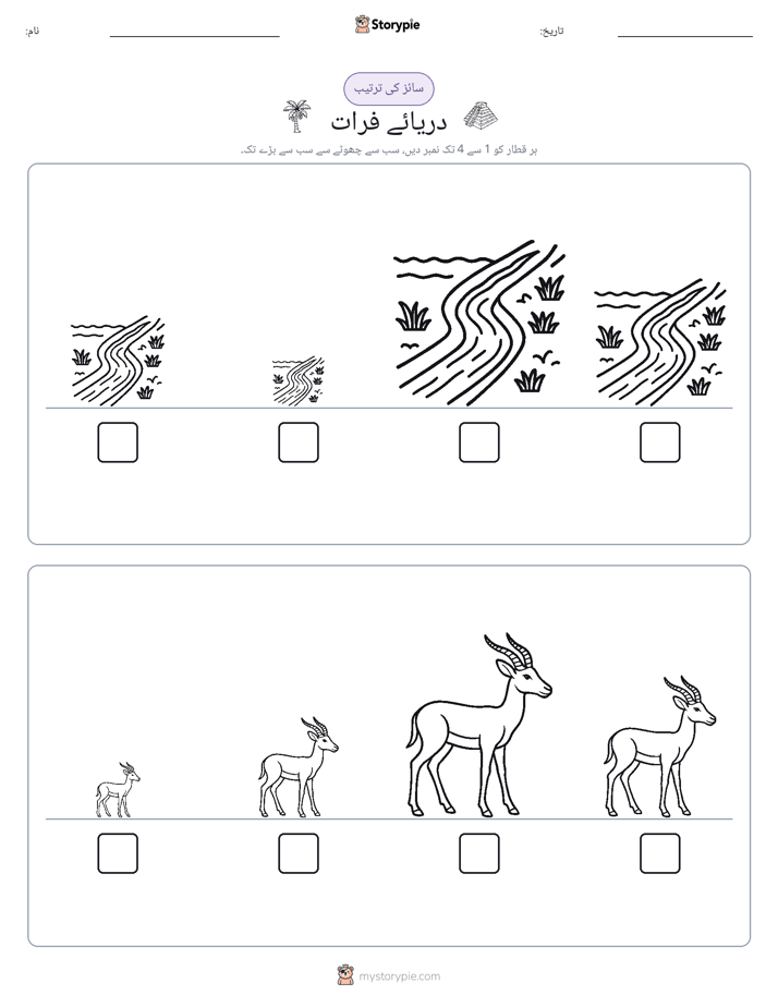سائز کی ترتیب