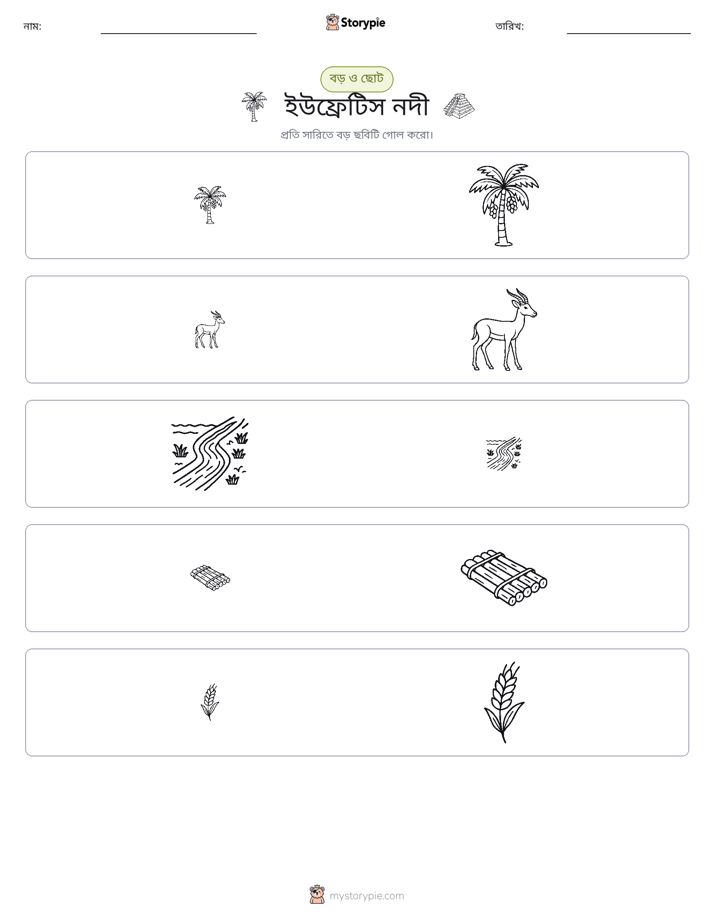 সাজানো