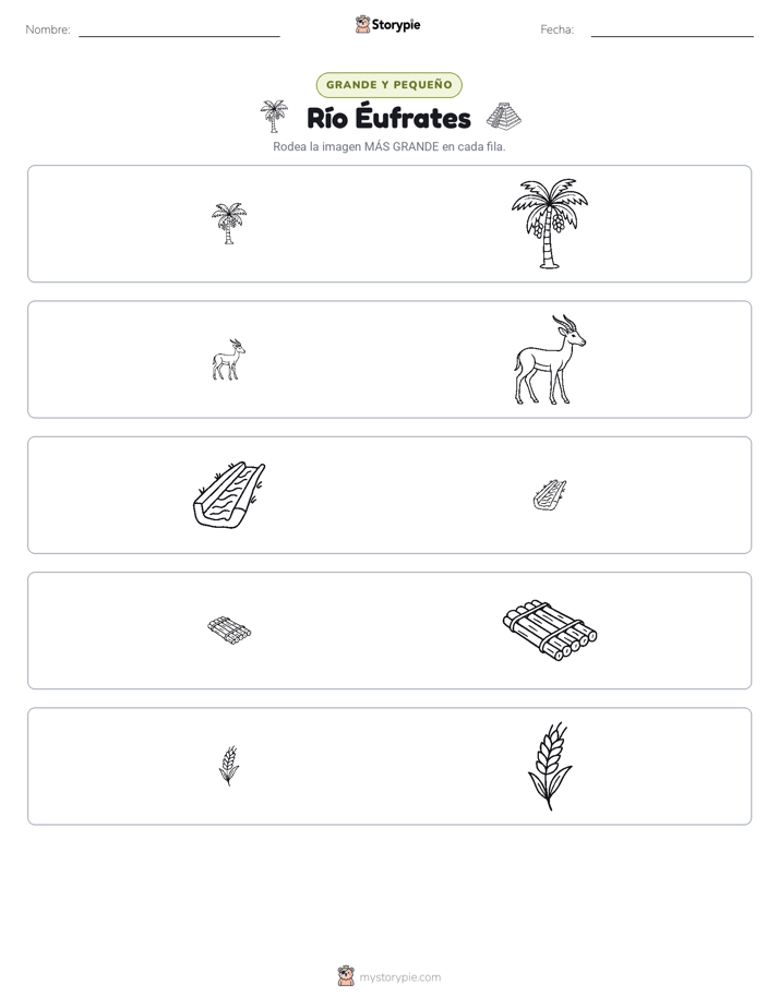 Clasificación