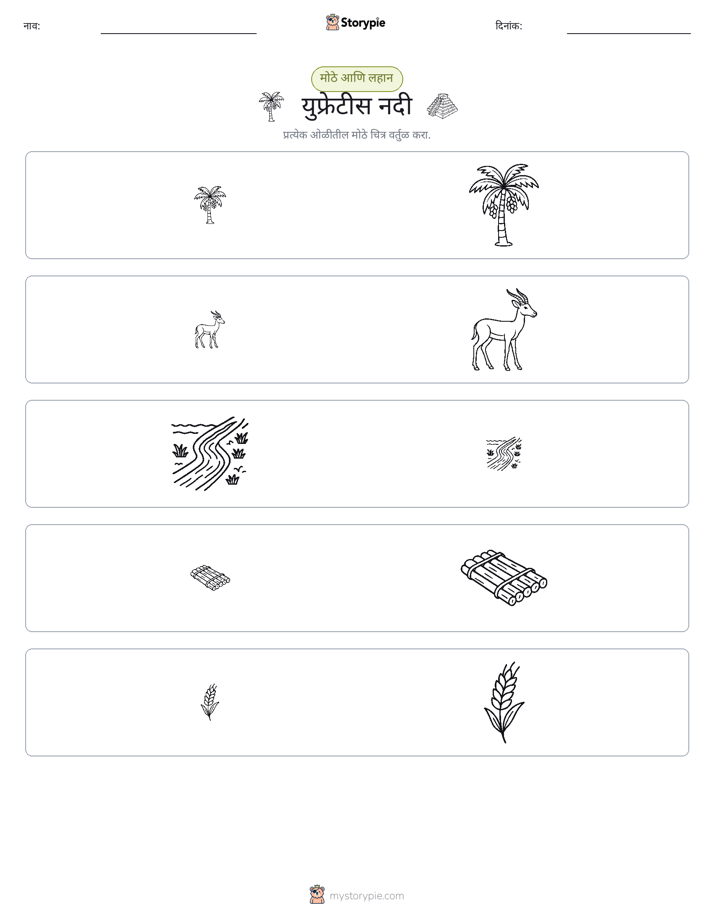 वर्गीकरण
