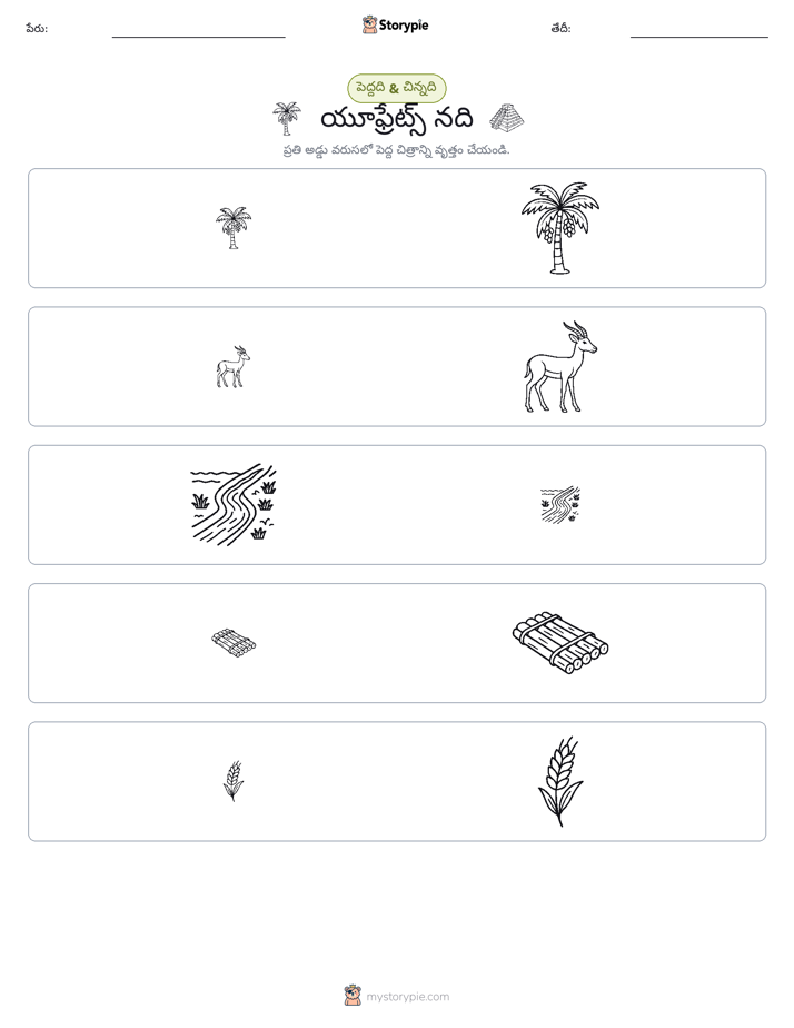 వర్గీకరణ