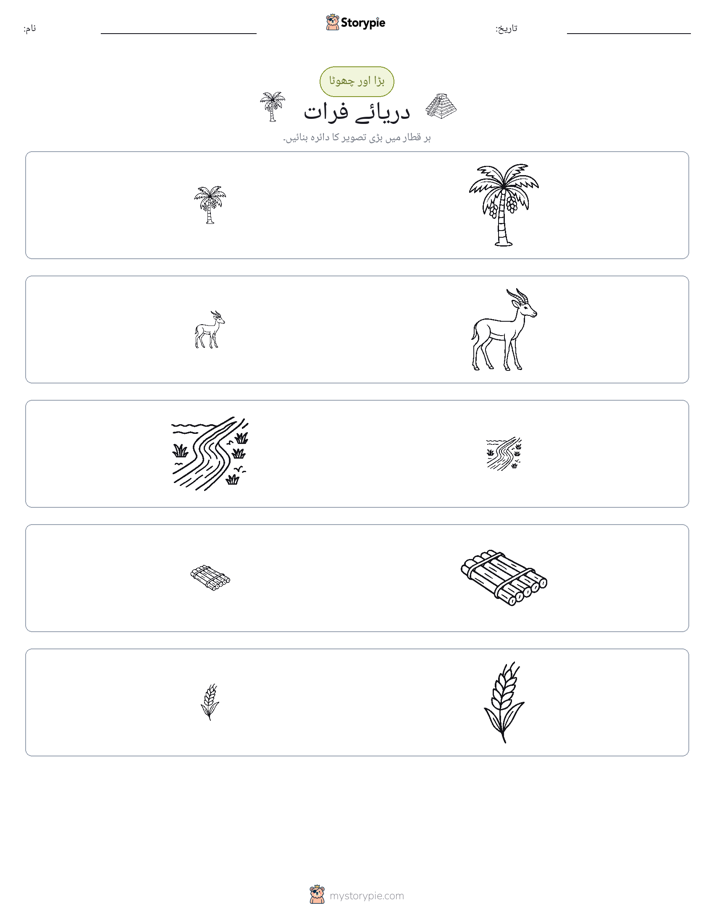 ترتیب دینا