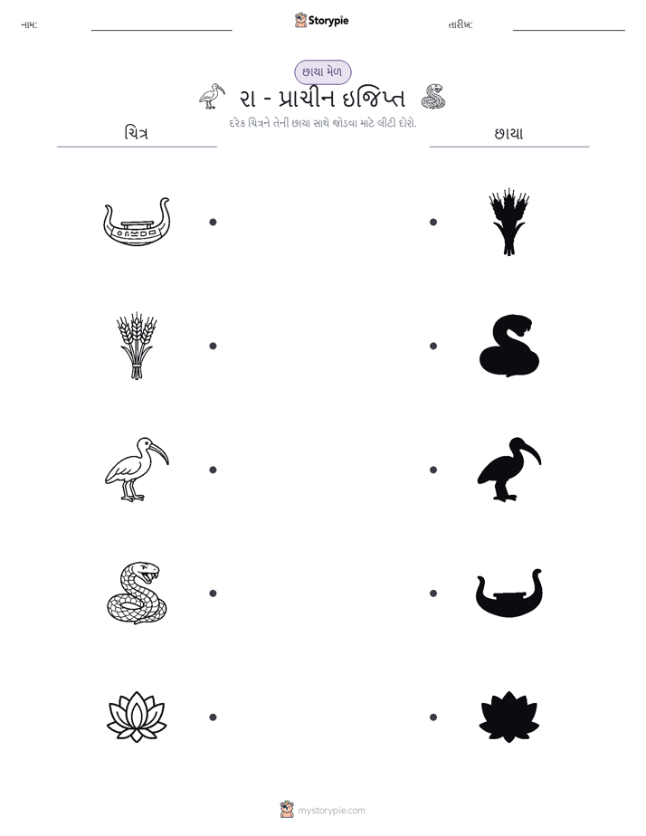શેડો મેચ