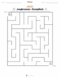Jungbrunnen - Europäisch druckbare Arbeitsblatt Vorschau