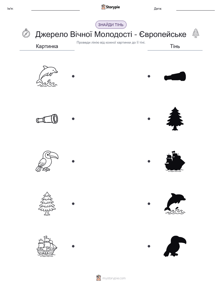 Тіньове Відповідність